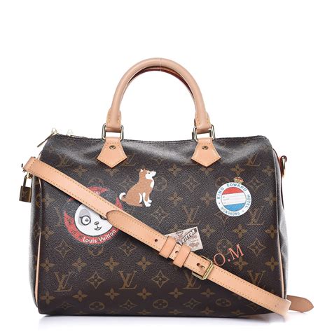 lv bandouliere world tour|LOUIS VUITTON Monogram World Tour Speedy Bandouliere 30 .